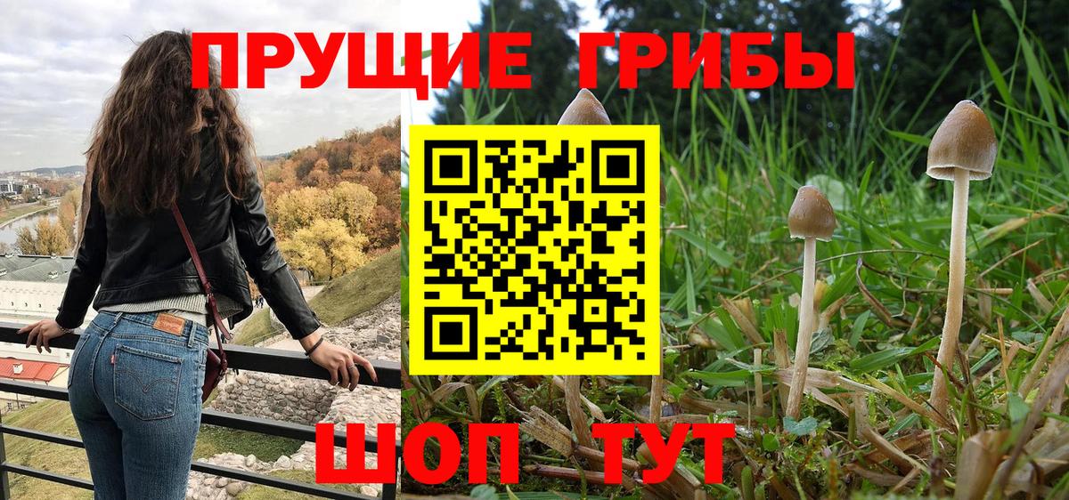 Галлюциногенные грибы Psilocybine cubensis Нижнеудинск