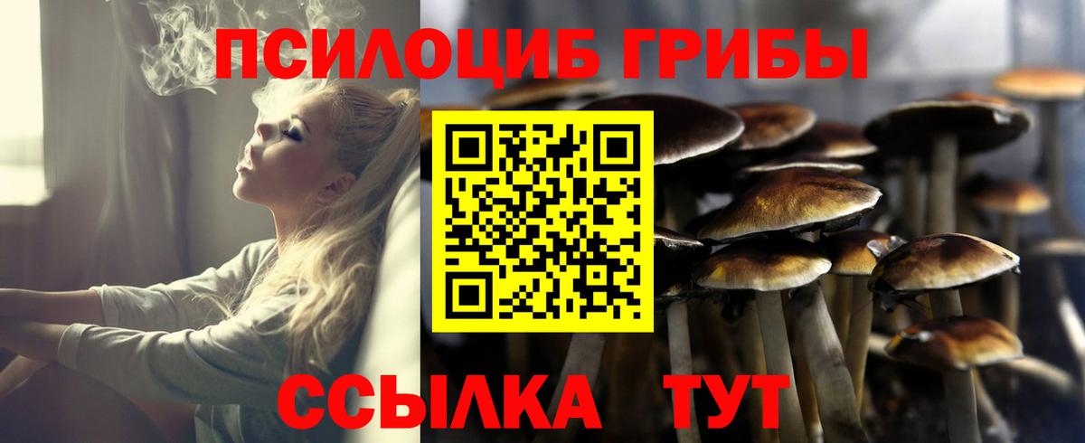Псилоцибиновые грибы Magic Shrooms  Вход с VPN  Нижнеудинск 